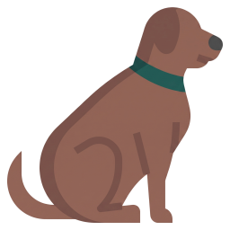 Eutanasia Mascotas a Domicilio en Valencia