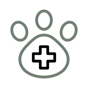 Planes zoosanitarios y dirección veterinaria