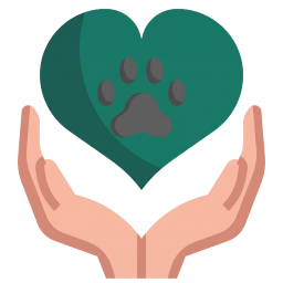 Revisión general y seguimiento veterinario a domicilio en Valencia