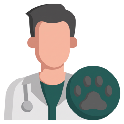 Consulta veterinaria a domicilio en Valencia