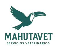 MAHUTAVET Veterinarios a Domicilio en Valencia